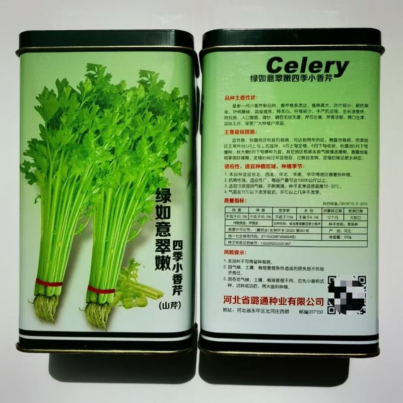优质芹菜种子推荐绿如意翠嫩四季小香芹种子四季芹菜山芹种子