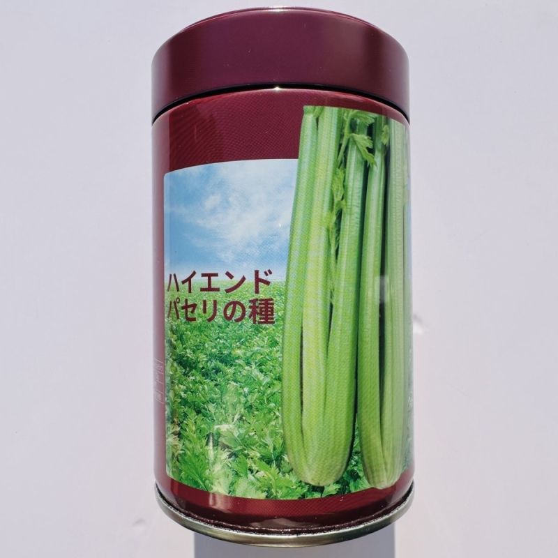 新一代西芹良种千户西芹种子罐装长势旺颜色靓绿高端芹菜种子