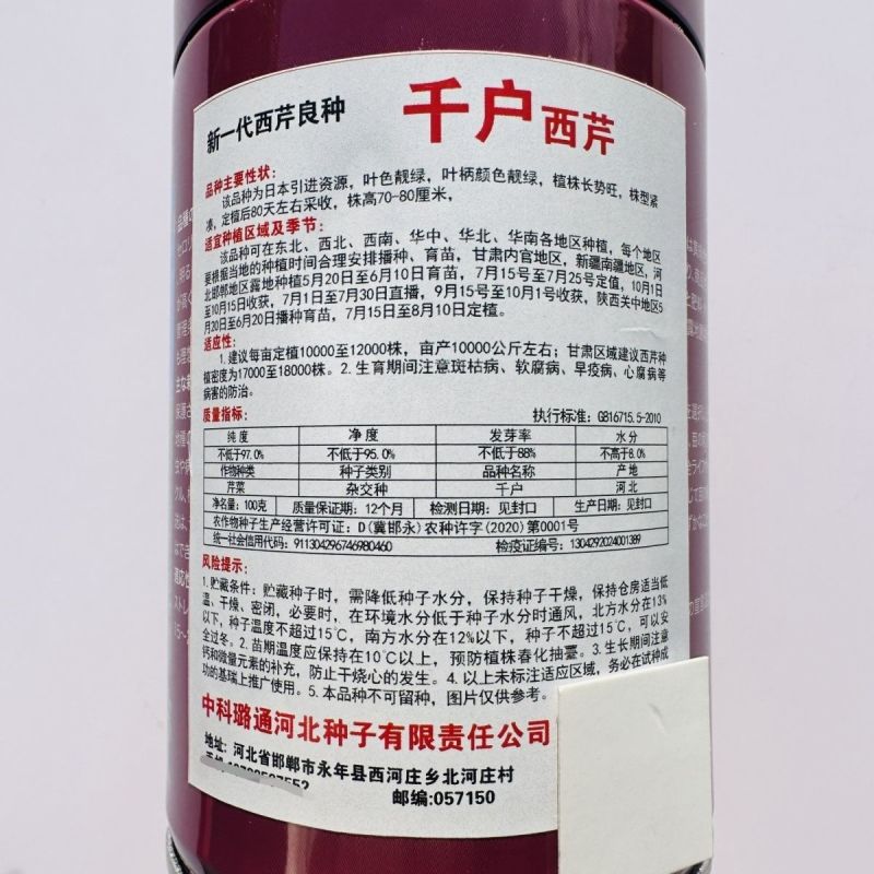 新一代西芹良种千户西芹种子罐装长势旺颜色靓绿高端芹菜种子