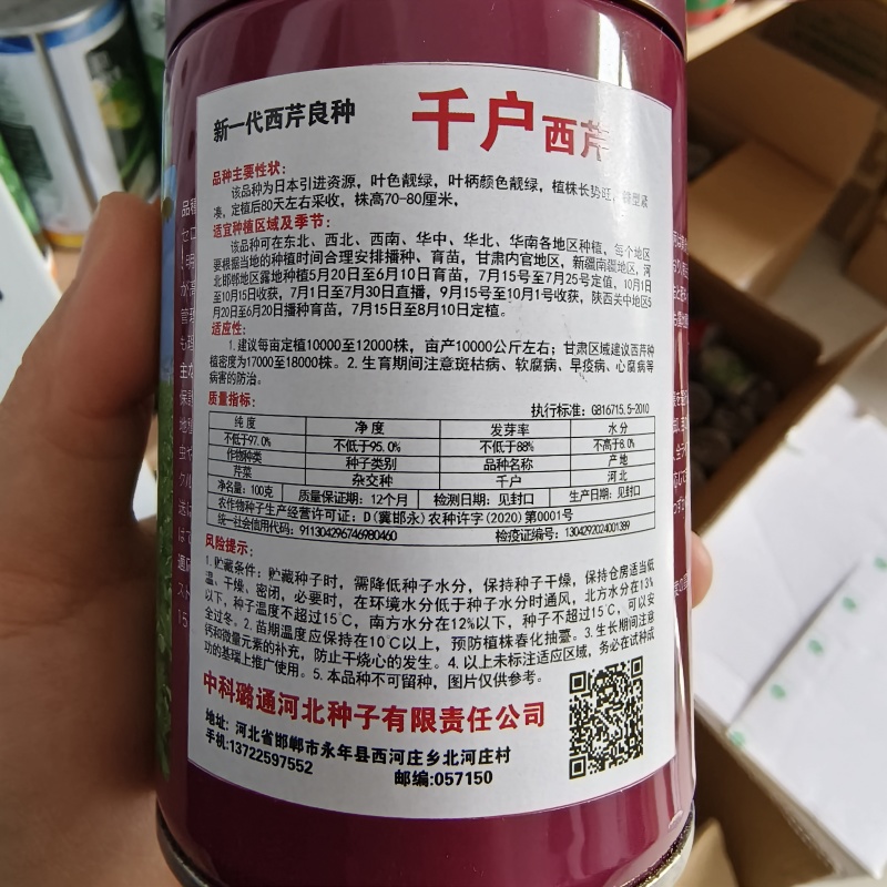新一代西芹良种千户西芹种子罐装长势旺颜色靓绿高端芹菜种子
