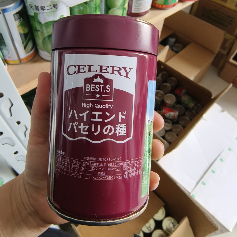 新一代西芹良种千户西芹种子罐装长势旺颜色靓绿高端芹菜种子