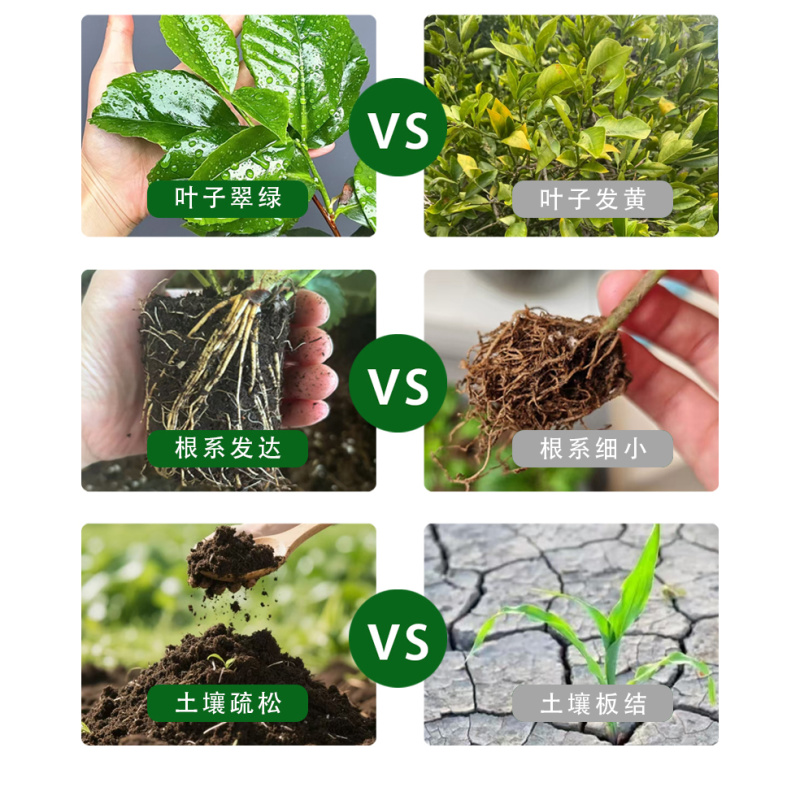 微生物发酵羊粪，有机肥，肥料，禽畜粪便，微生物菌肥