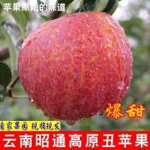 昭通苹果！糖心丑苹果！樱桃小苹果！团购一件代发，整车代办