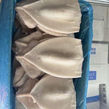冷冻鱿鱼片、冷冻海产品、、、
