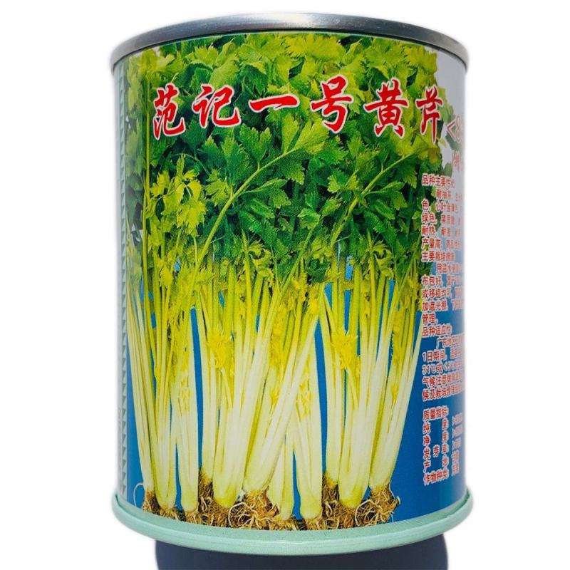 范记一号黄芹832号种子高产耐抽苔长势强黄心芹菜种籽味浓