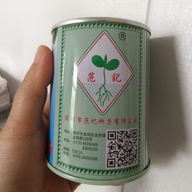范记一号黄芹832号种子高产耐抽苔长势强黄心芹菜种籽味浓