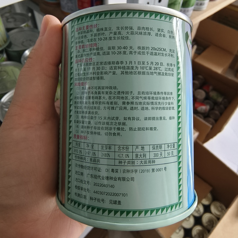 范记一号黄芹832号种子高产耐抽苔长势强黄心芹菜种籽味浓