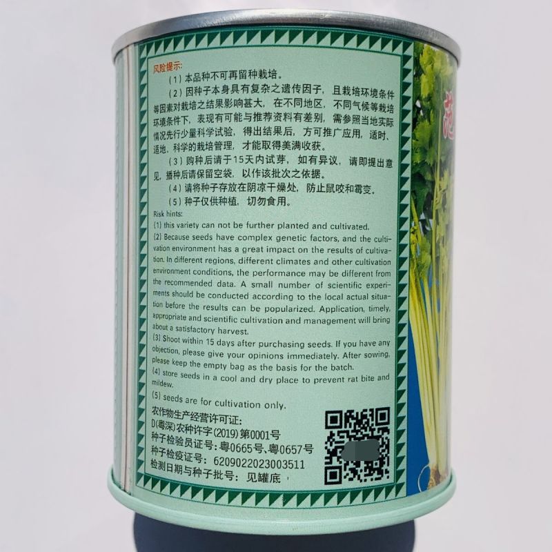 范记一号黄芹832号种子高产耐抽苔长势强黄心芹菜种籽味浓