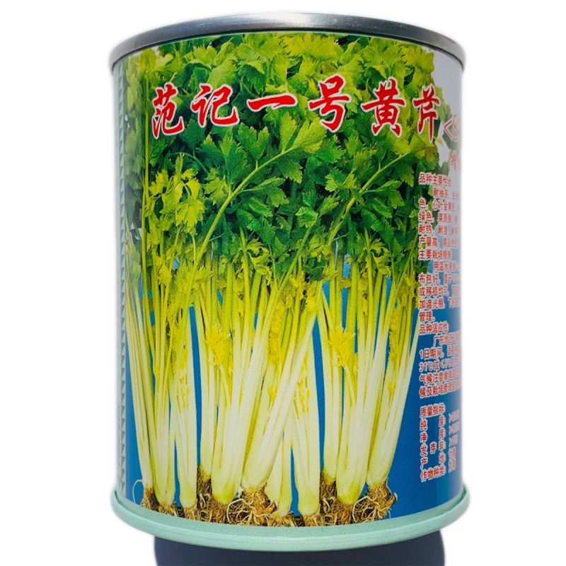 范记一号黄芹832号种子高产耐抽苔长势强黄心芹菜种籽味浓