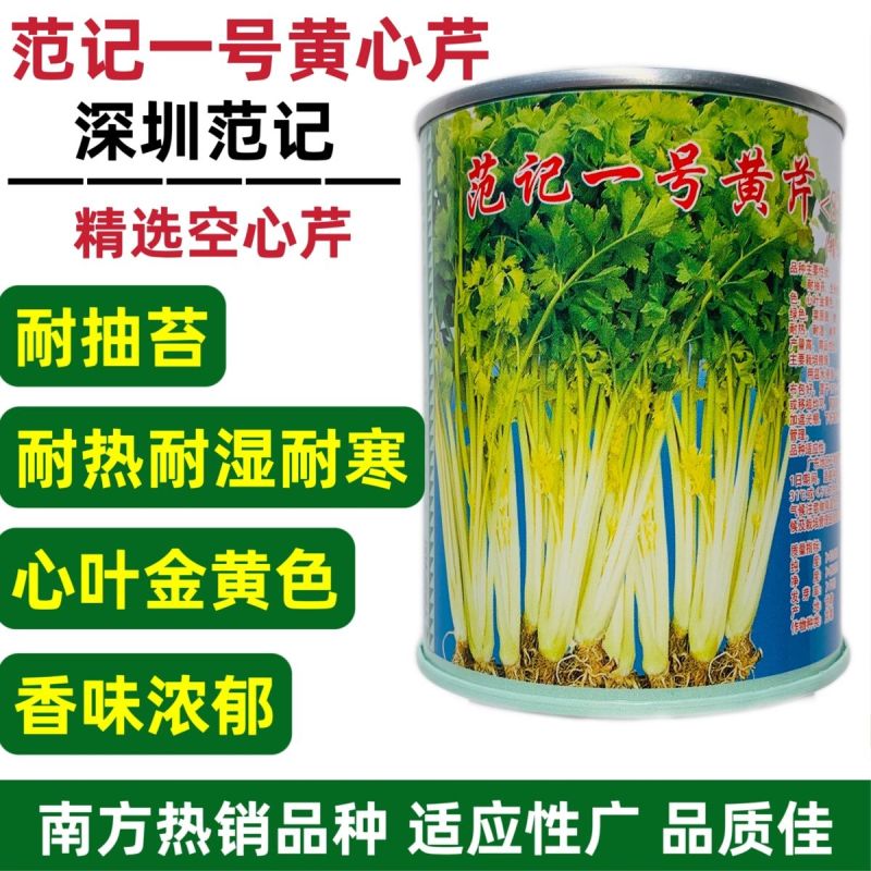 范记一号黄芹832号种子高产耐抽苔长势强黄心芹菜种籽味浓