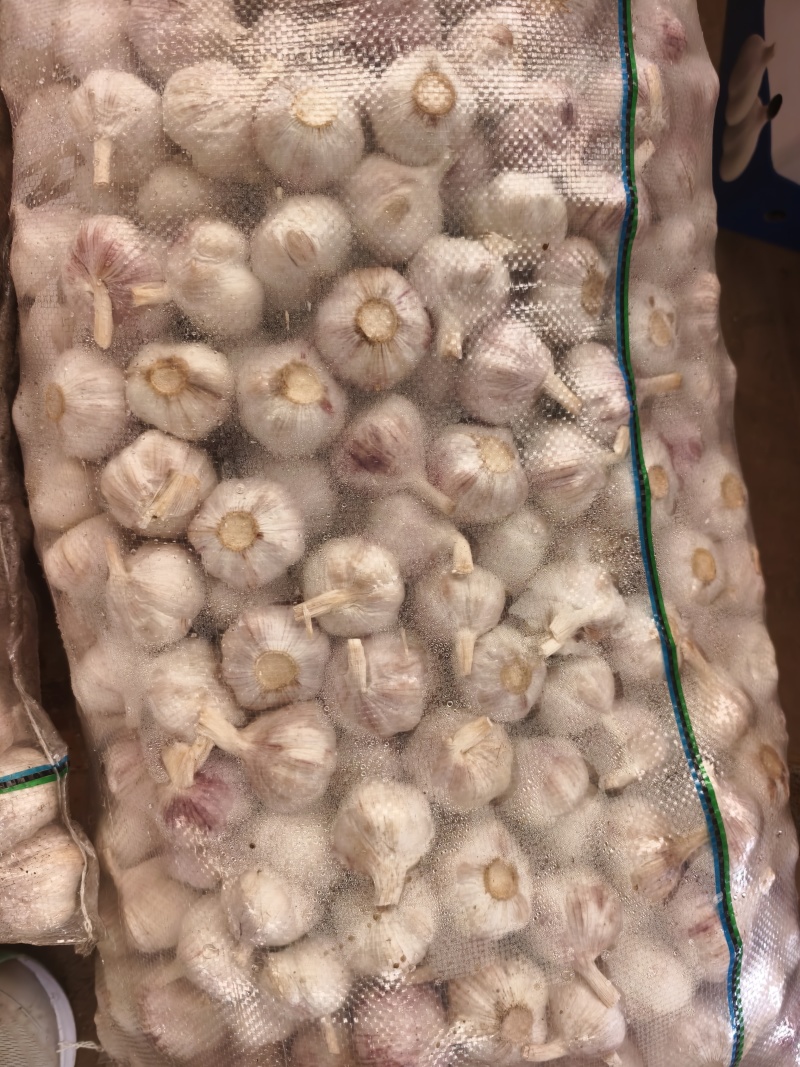 山东优质大蒜种植基地常年供应，出口，市场，商超，电商。