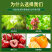 肥料微生物菌剂生物有机肥特种肥料枯草芽孢杆菌