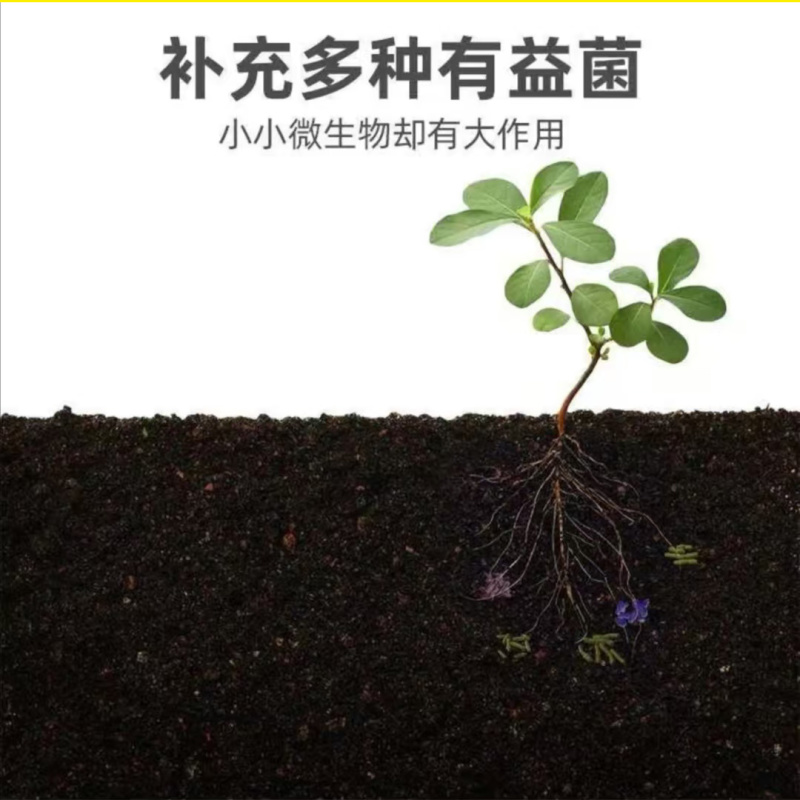 肥料微生物菌剂生物有机肥特种肥料枯草芽孢杆菌