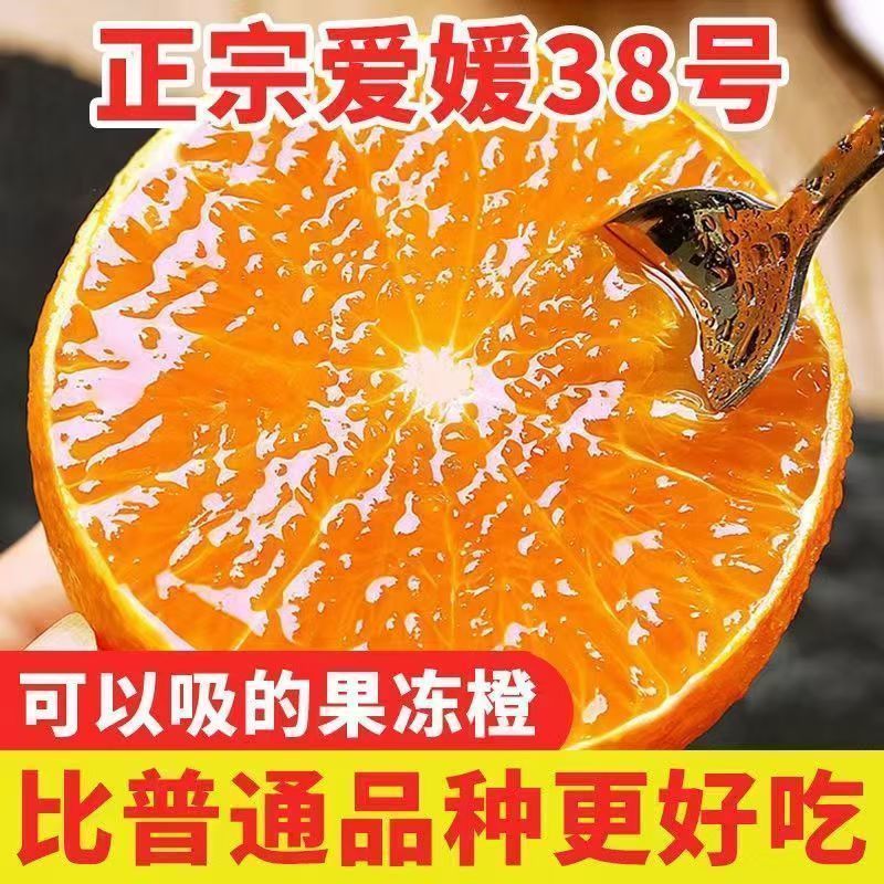 正宗爱媛38号果冻橙当季新鲜孕妇水果手剥橙子超甜薄皮