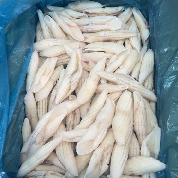 火箭鱿鱼冷冻鱿鱼分割系列产品火锅宴席包桌