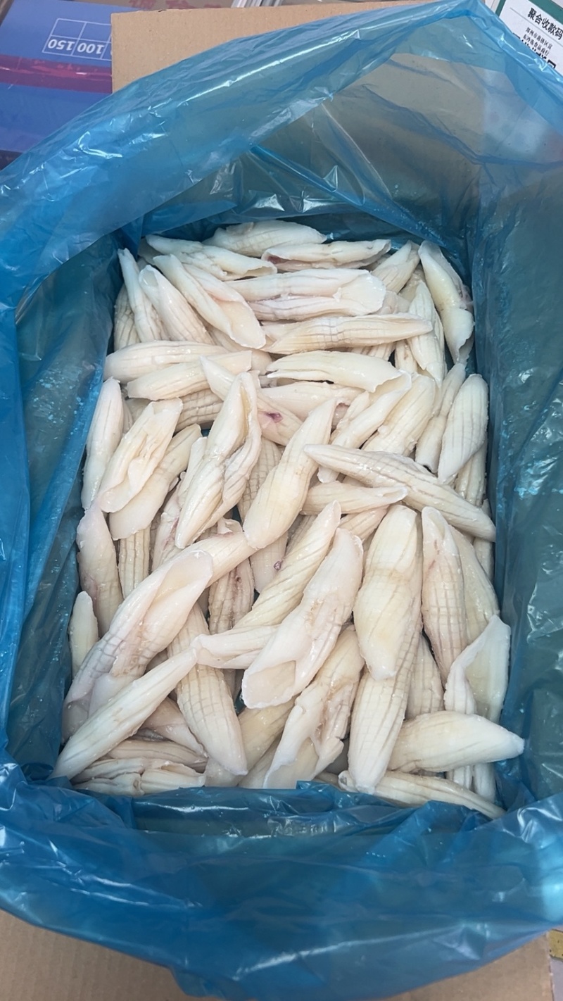 火箭鱿鱼冷冻鱿鱼分割系列产品火锅宴席包桌