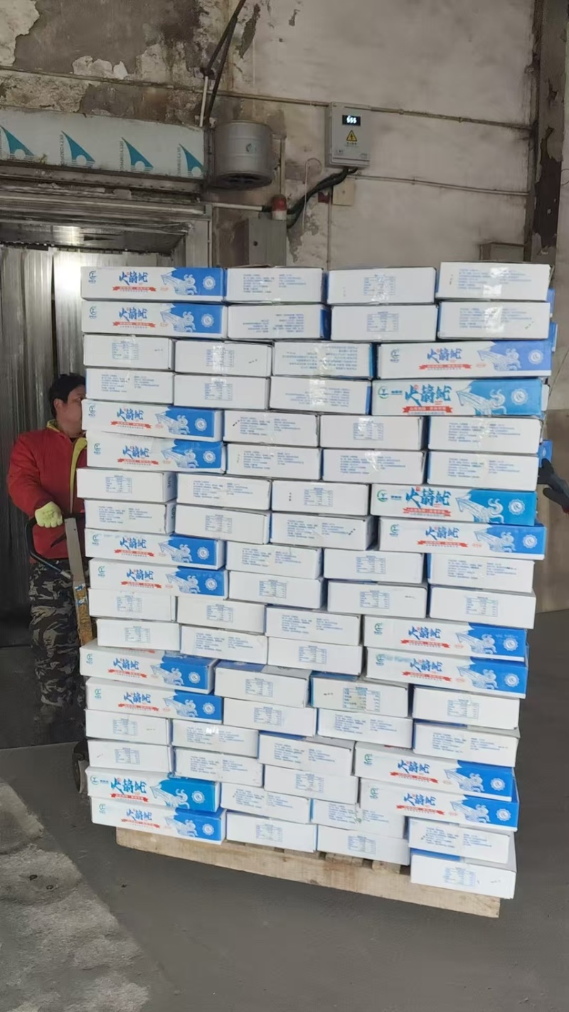 火箭鱿鱼冷冻鱿鱼分割系列产品火锅宴席包桌