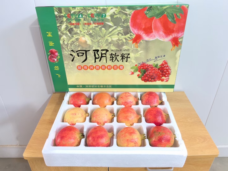 河阴石榴中国软籽石榴发源地量大批发合作社基地直供