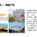 河阴石榴中国软籽石榴发源地量大批发合作社基地直供