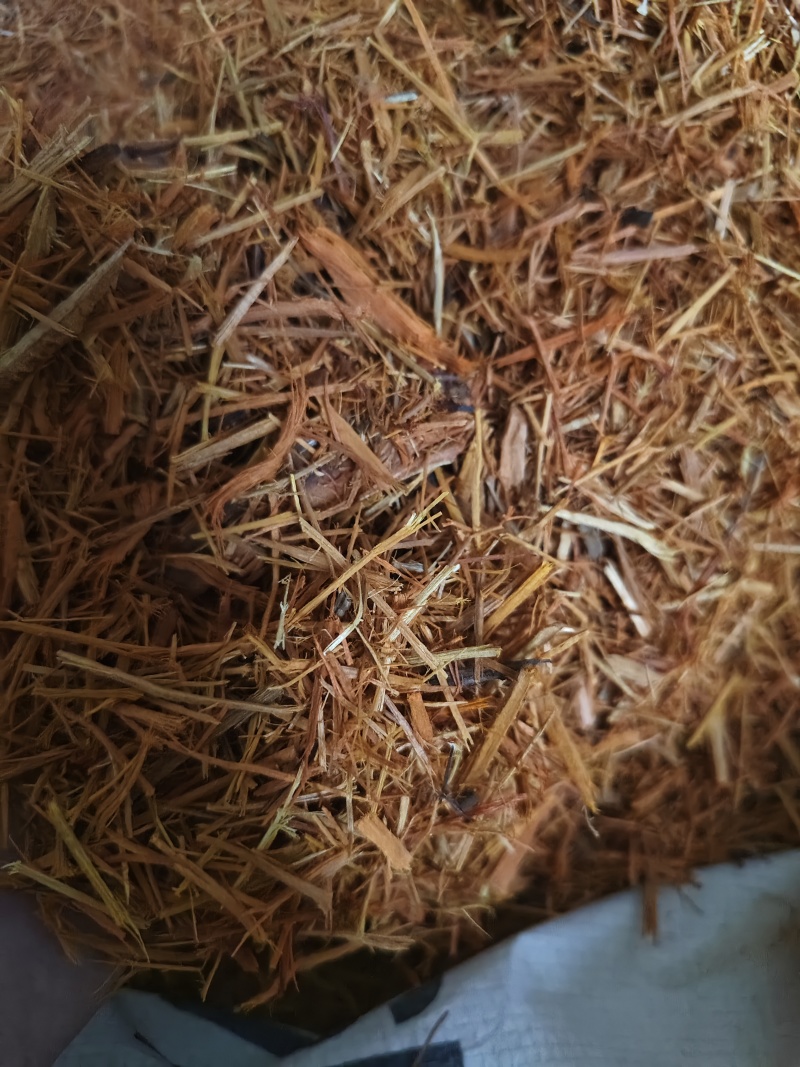 苏木各种规格苏木条苏木丝批发零售