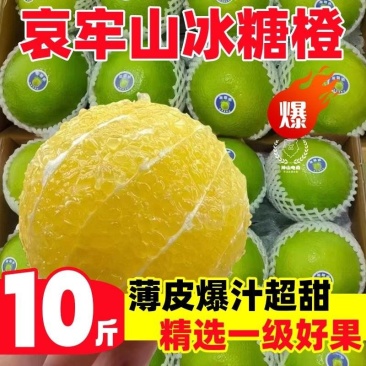 云南冰糖橙电商供货代发量大