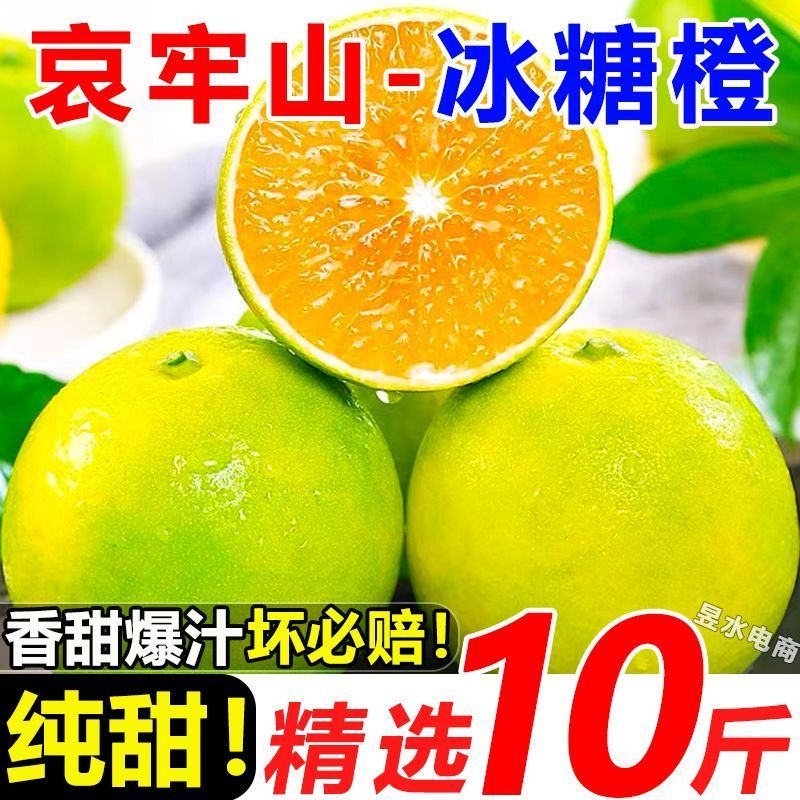 云南冰糖橙电商供货代发量大
