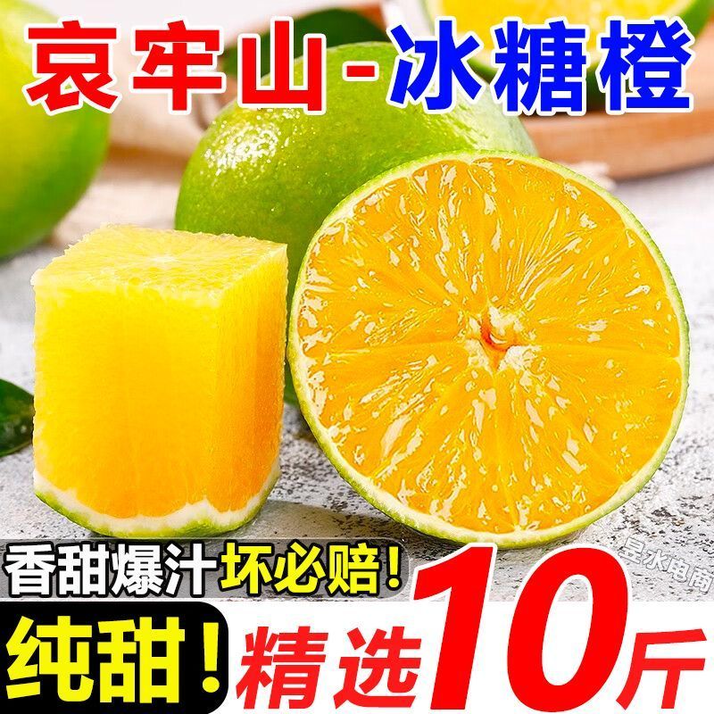 云南冰糖橙电商供货代发量大