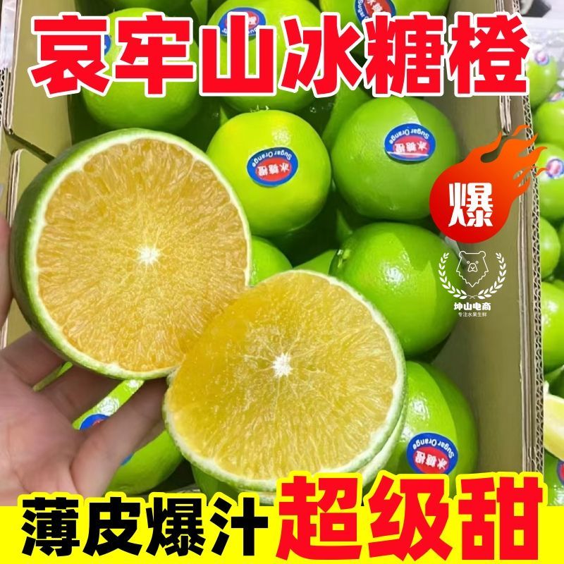 云南冰糖橙电商供货代发量大