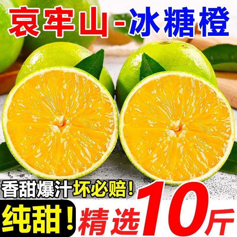 云南冰糖橙电商供货代发量大