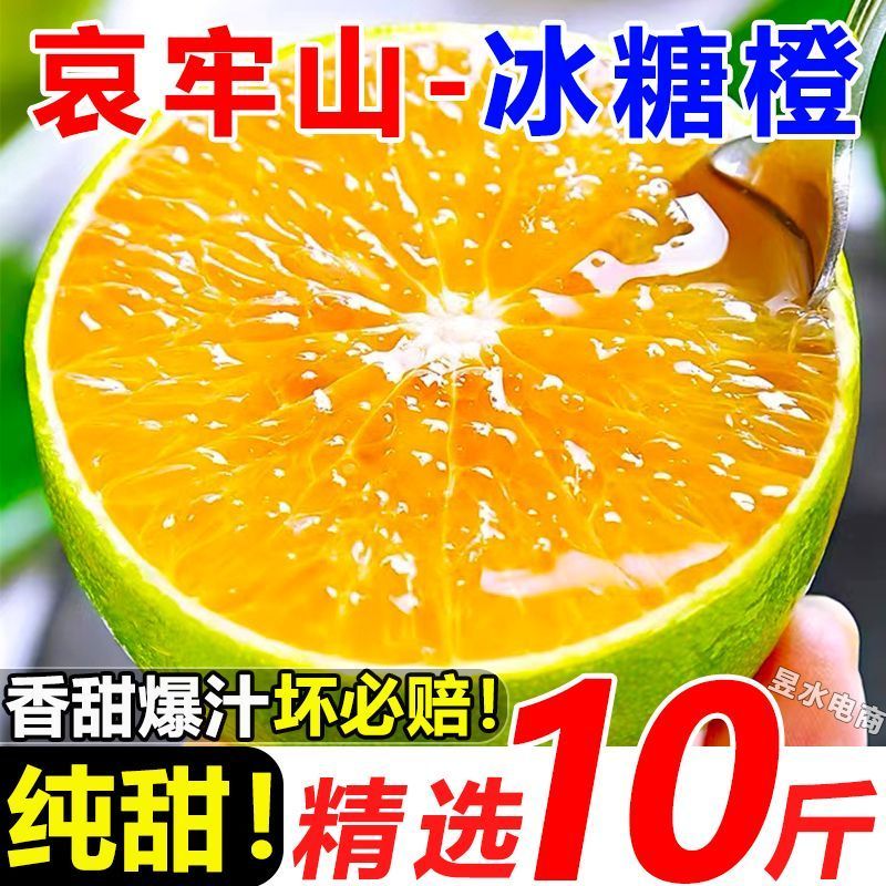 云南冰糖橙电商供货代发量大