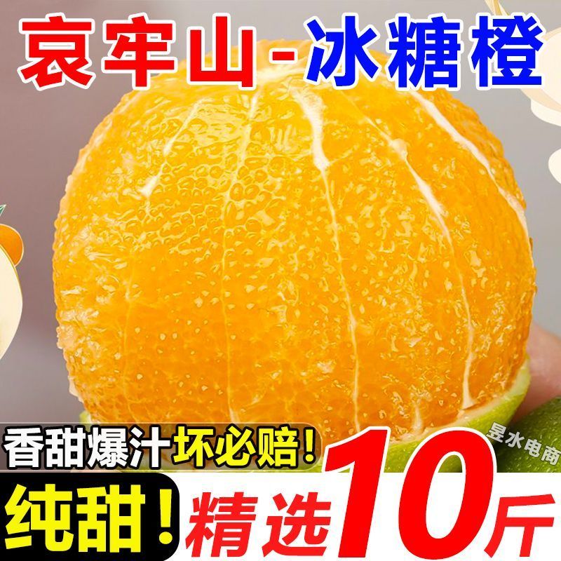 云南冰糖橙电商供货代发量大