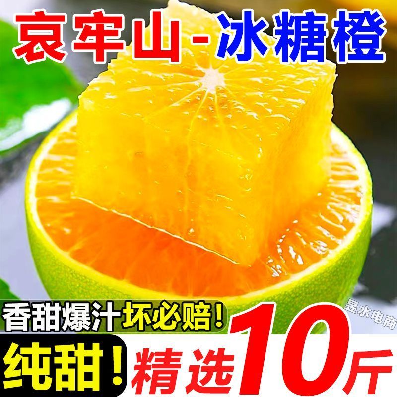 云南冰糖橙电商供货代发量大