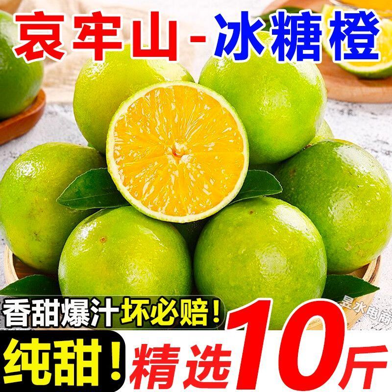 云南冰糖橙电商供货代发量大