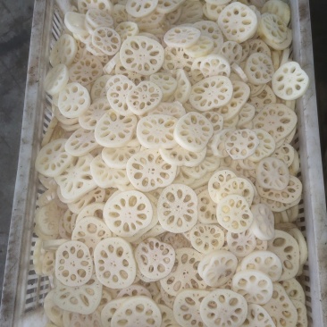 精品盐渍藕片藕断