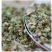 刺蒺藜中药材原料批发炒刺蒺藜白蒺藜炒蒺藜