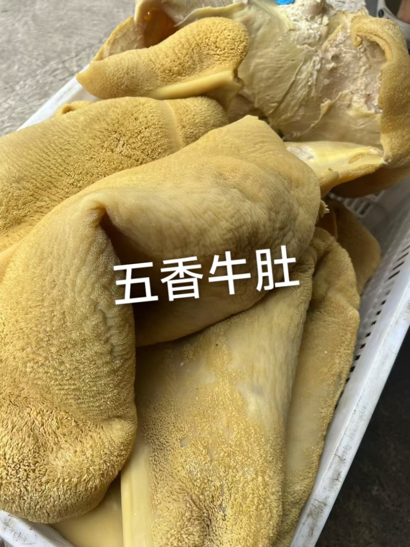 五香熟牛肚厂家直供质量保证一手货源全国发货欢迎订购