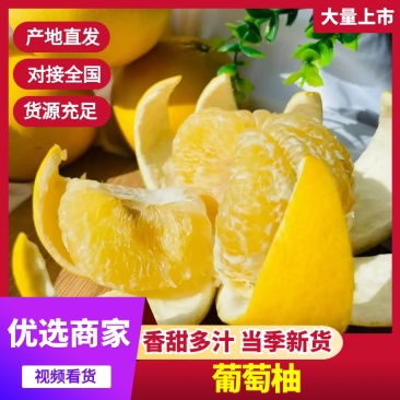 葡萄柚品质保证价格美丽产地直供一手货源欢迎联系