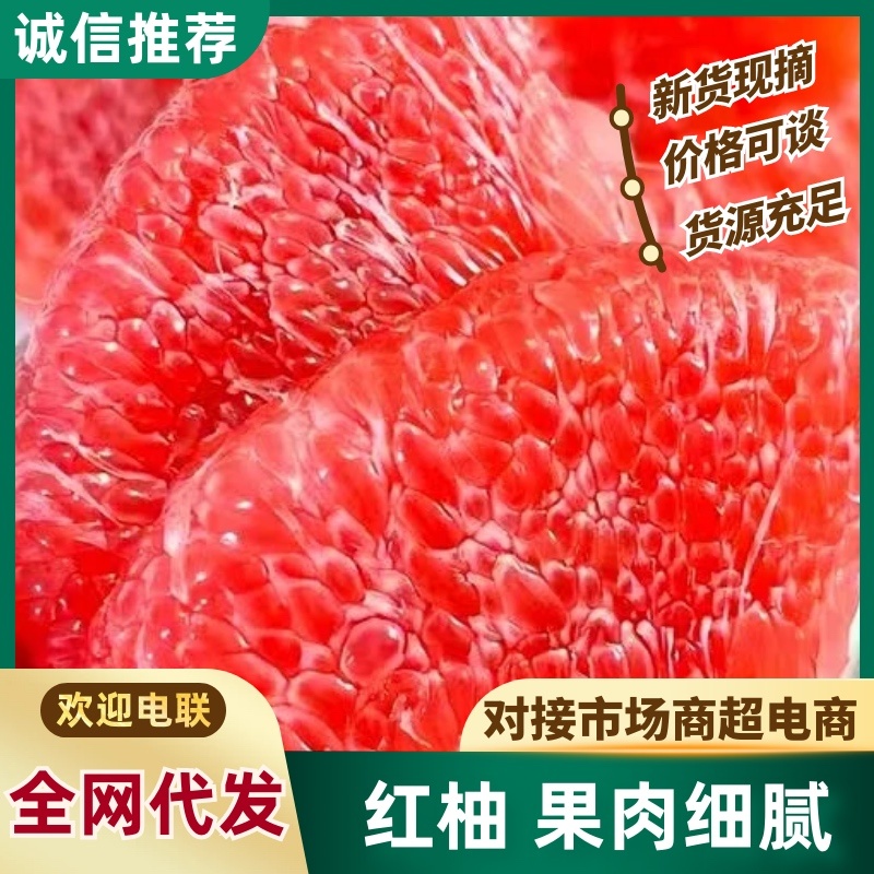 红柚品质保证服务周到大量有货一手货欢迎联系