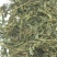 中药材正品凤尾草1公斤野生新鲜鸡爪阉鸡金鸡