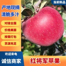 四川凉山红将军苹果，带溏心多汁无渣，现摘现发