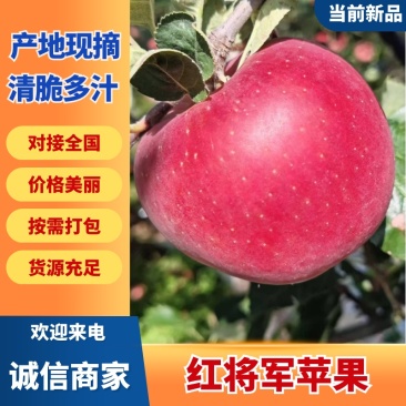 四川凉山红将军苹果，带溏心多汁无渣，现摘现发