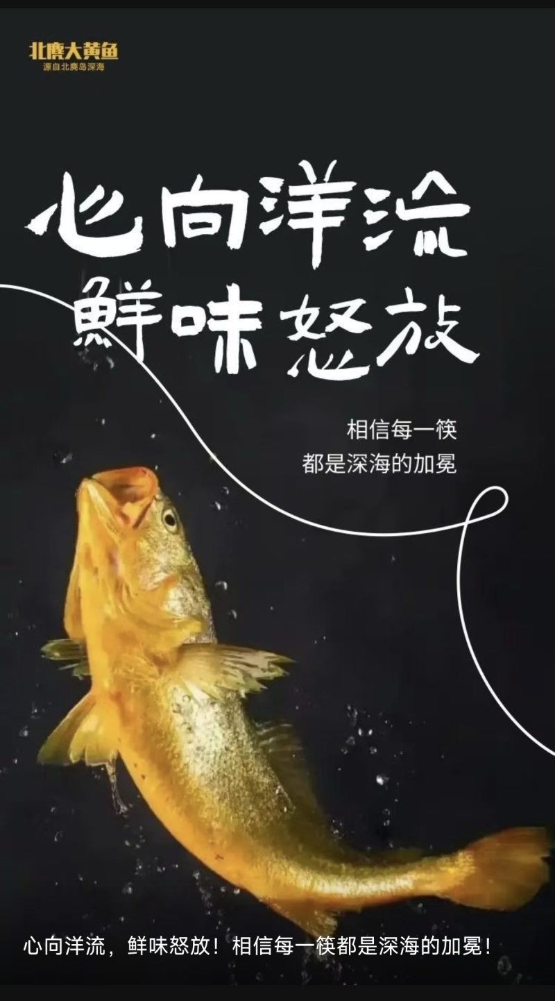 北麓岛大黄鱼，远离海岸线50公路，接近野生