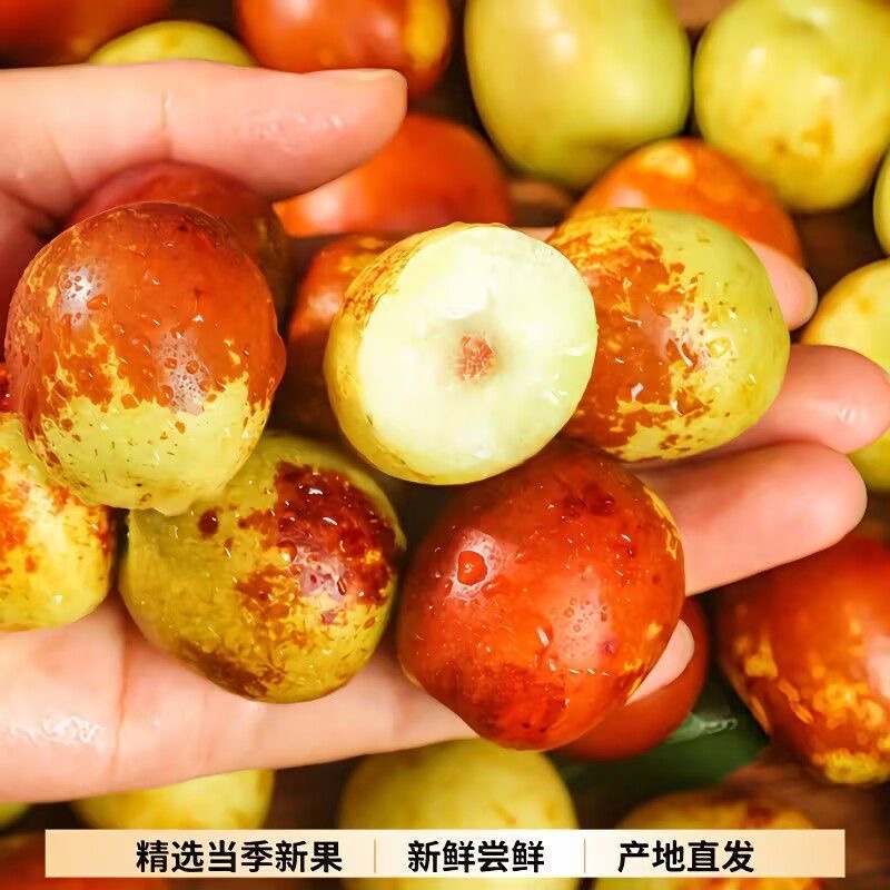 山东沾化冬枣，一件代发，对接电商供应链，直播平台等