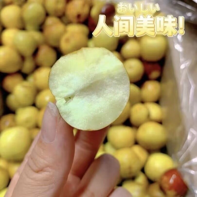 山东沾化冬枣，一件代发，对接电商供应链，直播平台等