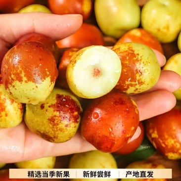 山东沾化冬枣，一件代发，对接电商供应链，直播平台等