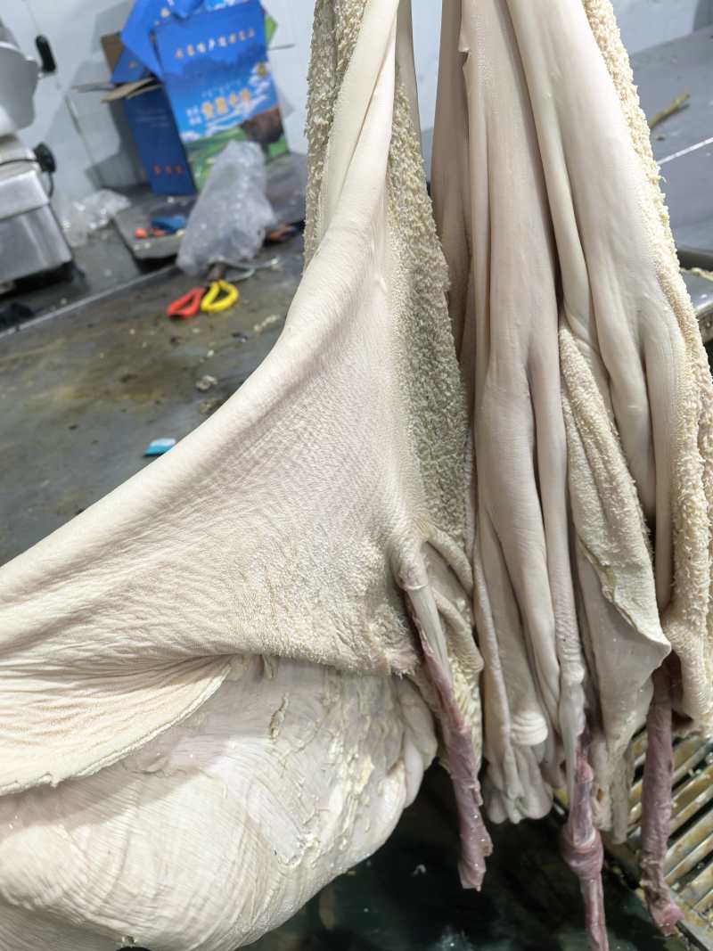 牛净肚，全国发货，锡盟工厂直销，保质保量，手续齐全