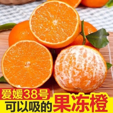 爱媛果冻橙