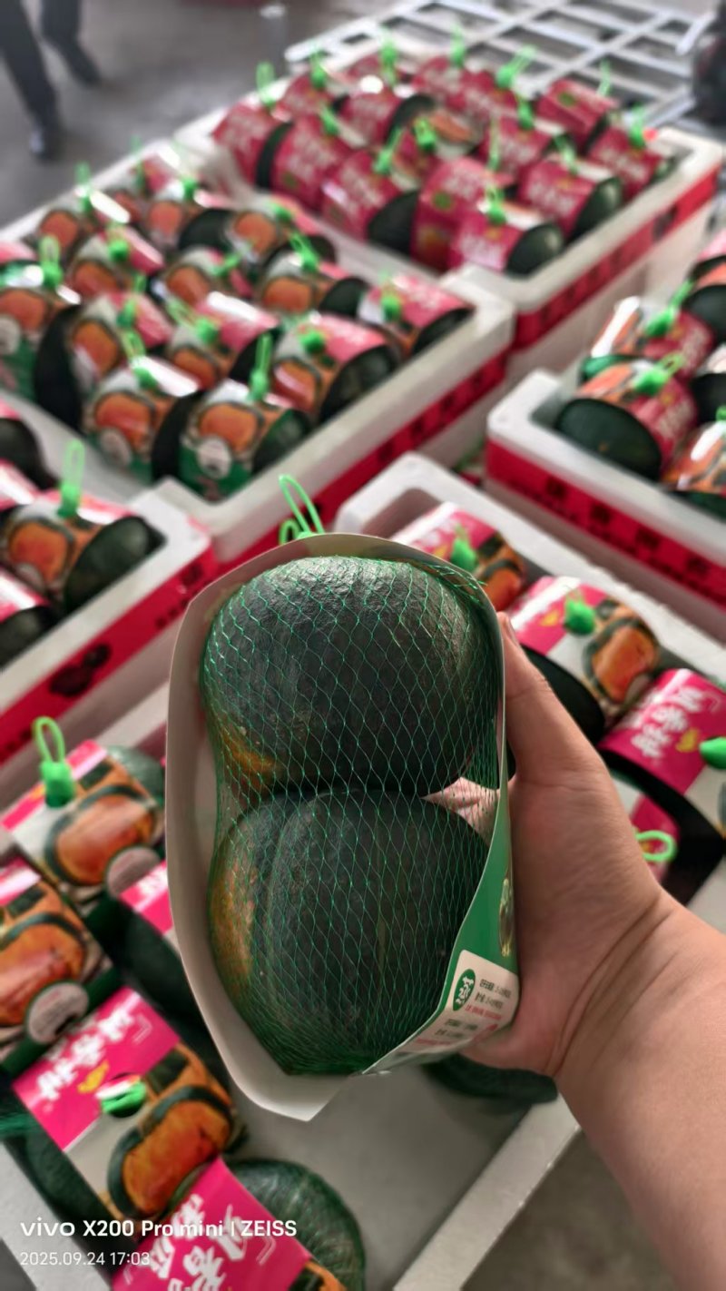 贝贝南瓜精品包装欢迎来电咨询可视频看货