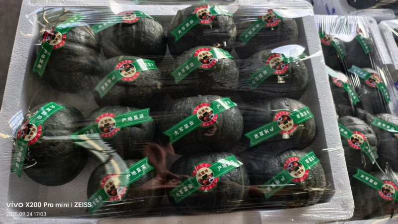 贝贝南瓜精品包装欢迎来电咨询可视频看货