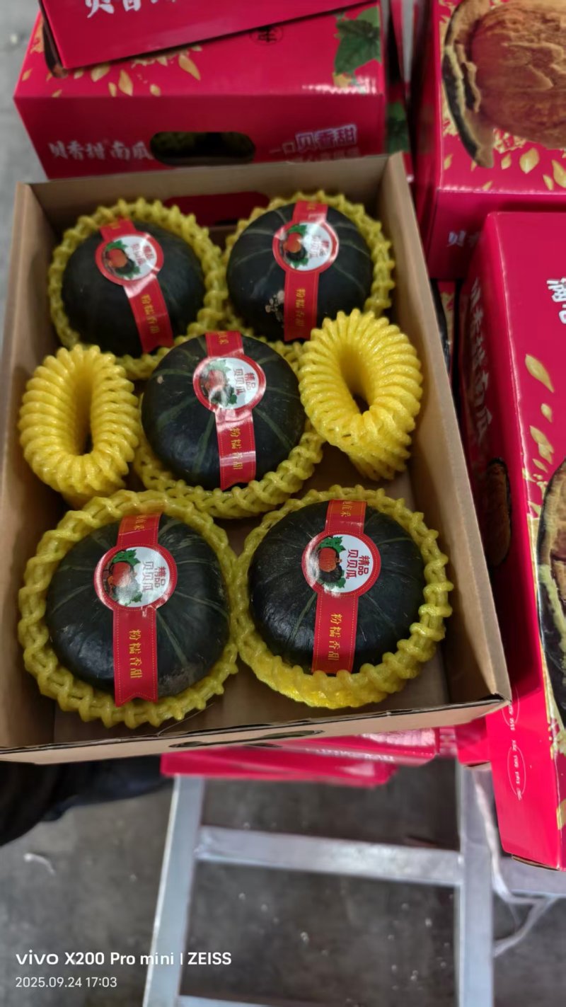 贝贝南瓜精品包装欢迎来电咨询可视频看货